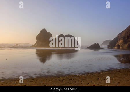 Stack di mare sulla spiaggia, Arcadia Beach Stato Scenic Area, Oregon, Stati Uniti d'America Foto Stock