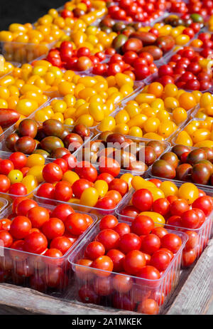 Molte varietà di ciliegia e pomodori uva presso il locale mercato agricolo Foto Stock