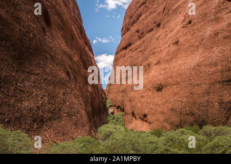 L'Olgas, Uluru-Kata Tjuta National Park, Territorio del Nord Foto Stock