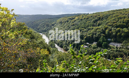 Il fiume Wye fluente attraverso una valle rurale visto dalla Symonds Yat Rock centro visitatori nella Foresta di Dean, Gloucestershire, England Regno Unito. Foto Stock