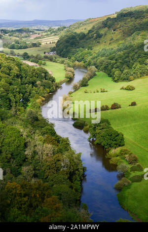 Il fiume Wye fluente attraverso una valle rurale visto dalla Symonds Yat Rock centro visitatori nella Foresta di Dean, Gloucestershire, England Regno Unito. Foto Stock