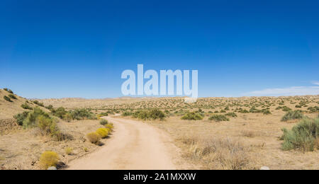 Strada sterrata curva attraverso Carrizo plain monumento nazionale Foto Stock