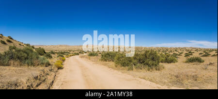 Avvolgimento su strada sterrata attraverso il deserto aperto nel vasto West americano. Foto Stock