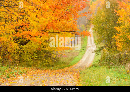 Burnett's sideroad in autunno, Sheguiandah, Manitoulin Island, Ontario, Canada Foto Stock