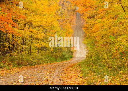 Burnett's sideroad in autunno, Sheguiandah, Manitoulin Island, Ontario, Canada Foto Stock