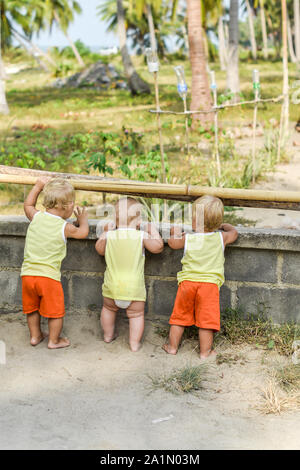 Tre bambini che guardano attraverso la recinzione sulle galline e i galli nel capannone. Le camicie gialle. Foto Stock