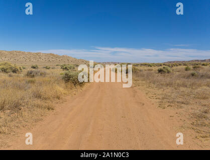 La sporcizia deserto strada in Carrizo Plain Monumento Nazionale di San Luis Obispo County. Foto Stock