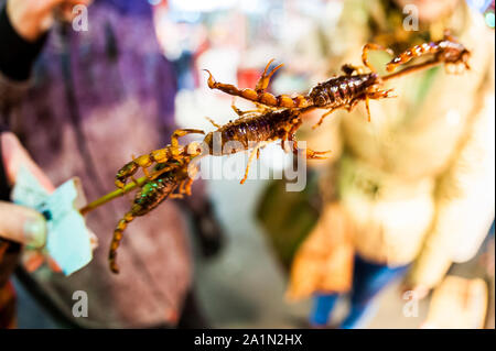 PECHINO, CINA - DEC 06, 2011: Mercato cinese, scorpioni fritti su bastone, concetto di cibo esotico Foto Stock