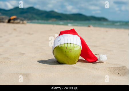 Buon Natale e Felice anno nuovo sulla spiaggia estiva. Cocco in cappello di santa. Palme e cielo blu sullo sfondo Foto Stock