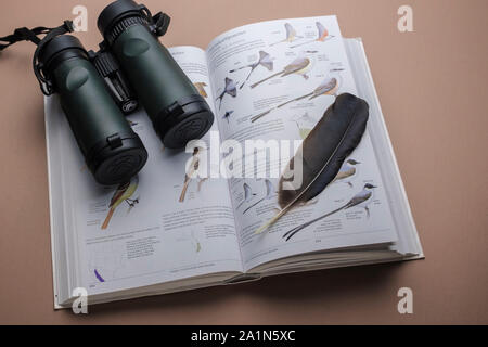 Equipaggiamento essenziale per birdwatching e equipaggiamento per birdwatching. Coppia di binocoli e guida al campo di identificazione delle specie di uccelli. Foto Stock