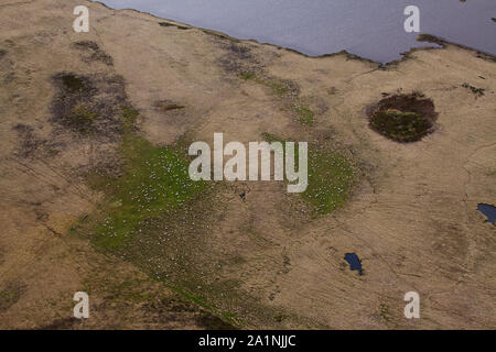 Vista aerea del pascolo di ovini la prateria area della regione Lafonia di East Falkland Isole Falkland Novembre 2015 Foto Stock