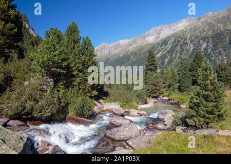 Windbach torrent. Krimmler Achen valley. Parco Nazionale degli Alti Tauri. Alpi austriache. Alpi austriache. Foto Stock