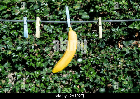 Una banana appeso a un filo in aria aperta Foto Stock