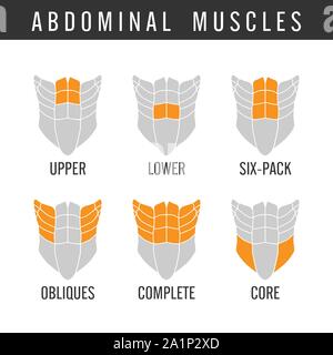 Umano i muscoli addominali nel complesso in stile icona. Illustrazione Vettoriale