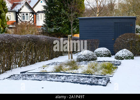 Design elegante e contemporaneo, paesaggio & piantagione (graminacee & yew) in letti affondata dal capannone blu - neve coperto Giardino d'inverno, nello Yorkshire, Inghilterra, Regno Unito. Foto Stock
