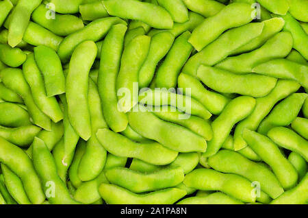 Edamame, fagioli di soia verde del pod, sfondo. Acerbi fave di soia, anche Maodou. Glycine max, un legume, commestibili dopo cottura e una ricca fonte di proteine. Foto Stock