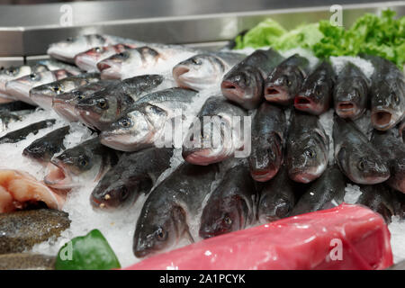 Grande varietà di pesci e il supermercato ghiacciata in stallo Foto Stock