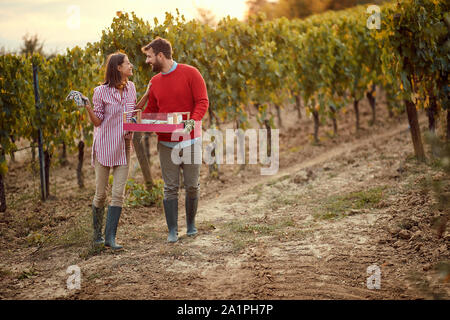 Vino e uva. La raccolta delle uve. L uomo e la donna la raccolta di uve in vigna Foto Stock