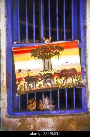 Gatto dorme in una cornice per una finestra al di sopra di un display di pittura tingatinga Stone Town Zanzibar, Africa Foto Stock