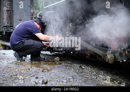 L uomo ha travolto in vapore a lavorare sul motore sul vecchio Romanian motore a vapore in treno da Resita corporation. Foto Stock