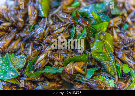 Frittura di insetti sulle strade di strada di Chiangmai in Thailandia ad alta risoluzione galleria dell'immagine. Foto Stock