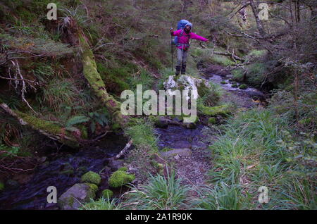 Femmina tailandese backpacker. Te Araroa Trail. Isola del Sud. Nuova Zelanda Foto Stock