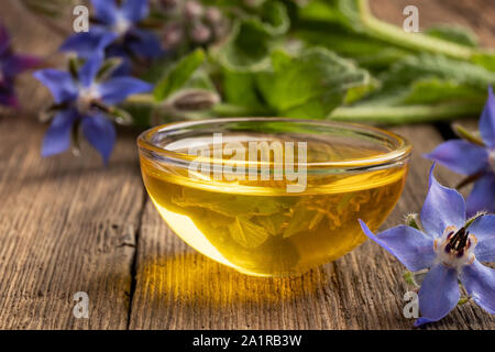 Una coppa di olio di borragine con rigogliosa pianta Foto Stock