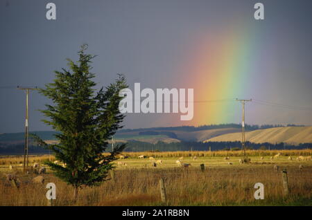 Rainbow. Te Araroa Trail. Isola del Sud. Nuova Zelanda Foto Stock