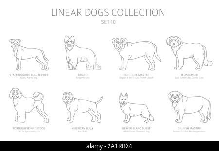 Linea semplice raccolta di cani isolato su bianco. Razze di cani. Uno stile piatto clipart set. Illustrazione Vettoriale Illustrazione Vettoriale