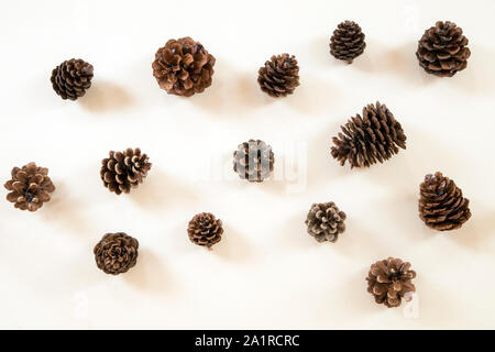 Coni di pino bianco su sfondo di legno Foto Stock