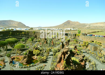 Il giardino dei Cactus a Guatiza, Lanzarote una delle isole Canarie Foto Stock