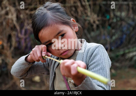 Ragazza dal villaggio di Khrang in Khasi Hills spara una pistola di pisello di canna di bambù, nello stato di Meghalaya in India nordorientale Foto Stock