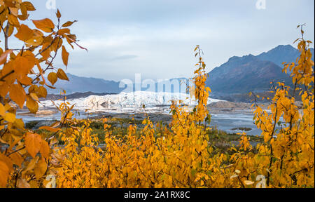 In autunno il giallo oro lascia coprire la Matanuska Valley in settembre e ancora fumo wildfire riempie l'aria. Luce dorata copre il ghiacciaio appena bef Foto Stock