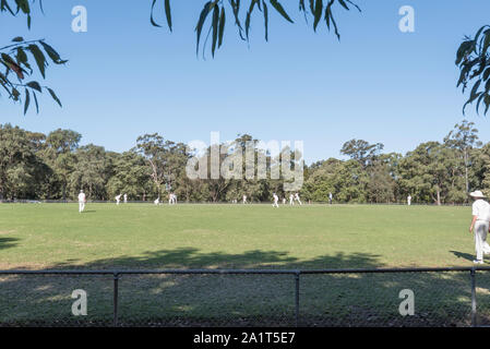 Il Cricketers giocare una partita di fine settimana su Bert Oldfield ovale nella frondosa north shore sobborgo di Killara a Sydney in Australia. Foto Stock