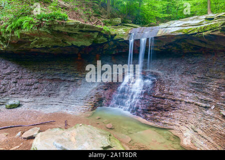 Gallina blu scende in Cuyahoga Valley National Park. In Ohio. Stati Uniti d'America Foto Stock