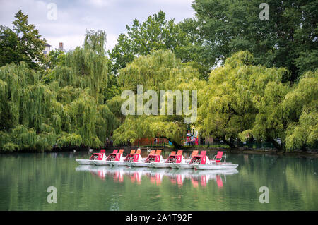 Linea di catamarani sulle acque di un parco antico stagno circondato da verdi alberi Foto Stock