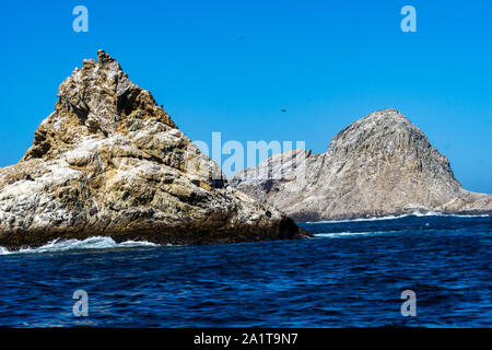 Il bianco e il giallo rock fuori della selvaggia e oceano ondulata come un diavolo di dente all'Farallon islands, sagomato come un mostro. Foto Stock