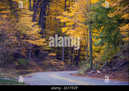 Una strada curva in un bellissimo bosco colorato nelle zone rurali del Michigan STATI UNITI Foto Stock