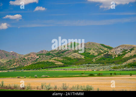 Estate scena del flat field e Rocky Hill, monti Macin in Romania Foto Stock