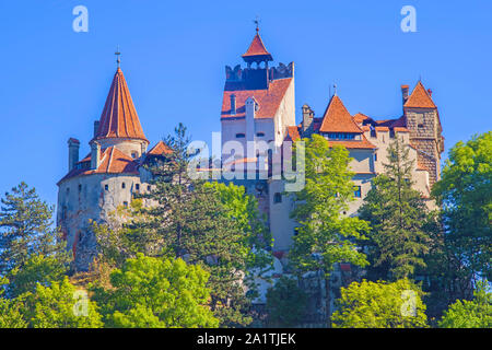 Il castello medievale di crusca, noto per la storia di Dracula, uno dei punti di riferimento importanti in Romania. Foto Stock
