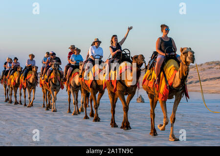 I turisti di marcia di un team di cammelli lungo la spiaggia di Cable Beach in Western Australia nel tardo pomeriggio. Foto Stock