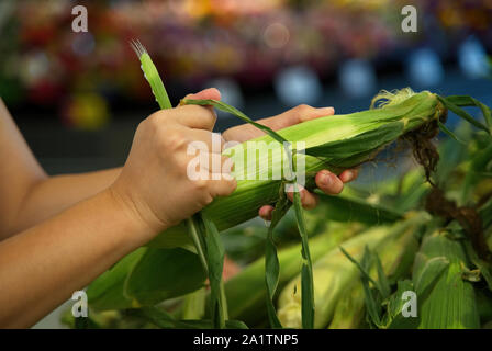 I clienti mani shucking mais dolce al supermercato. Foto Stock