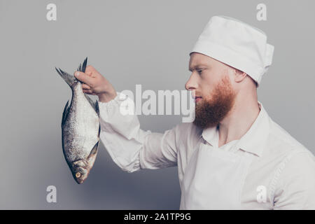 Profilo vista laterale ritratto di attraente bello grave candide calma butcher guy holding che trasportano guardando il pesce in braccio a mano ricetta a base di pesce isolato Foto Stock