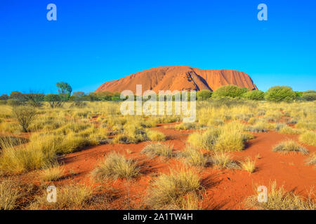 Sabbia rossa di outback australiano a Ayers Rock nella stagione secca, enorme monolito di pietra arenaria in Uluru-Kata Tjuta National Park, Australia centrale, settentrionale Foto Stock