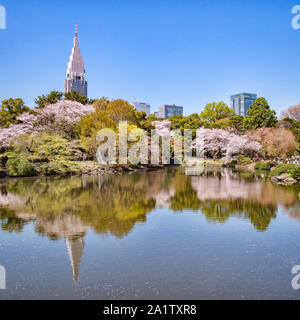 4 Aprile 2019: Tokyo, Giappone - la fioritura dei ciliegi e edifici di Shinjuku si riflette nel lago in Shinjuku Gyoen Giardino Nazionale di Tokyo. Foto Stock
