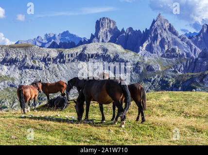 Montagne dolomitiche del nord italia Foto Stock