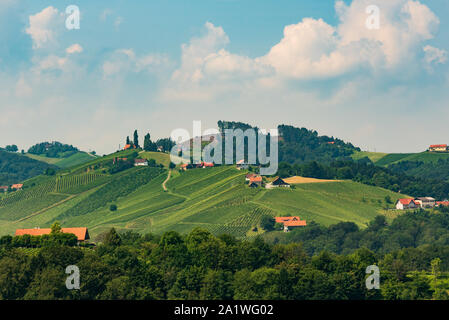 Austria vigneti Leibnitz area a sud della Stiria spot di viaggio Foto Stock