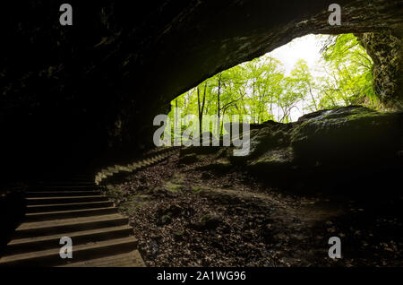 Scale all'interno di una grotta che conduce fuori del bosco Foto Stock