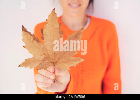 Foglie autunnali nelle mani di una ragazza marrone con manicure. Inizio autunno, caduta di ottobre. Giallo Foglie di autunno. Autumn Leaf su uno sfondo di corteccia di albero mi Foto Stock
