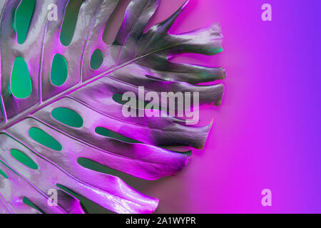 Palma tropicali Monstera foglia in metallo verniciato con vernice rosa al neon di luce blu. Abstract disegno alla moda per la progettazione e lo spazio per il testo. Foto Stock